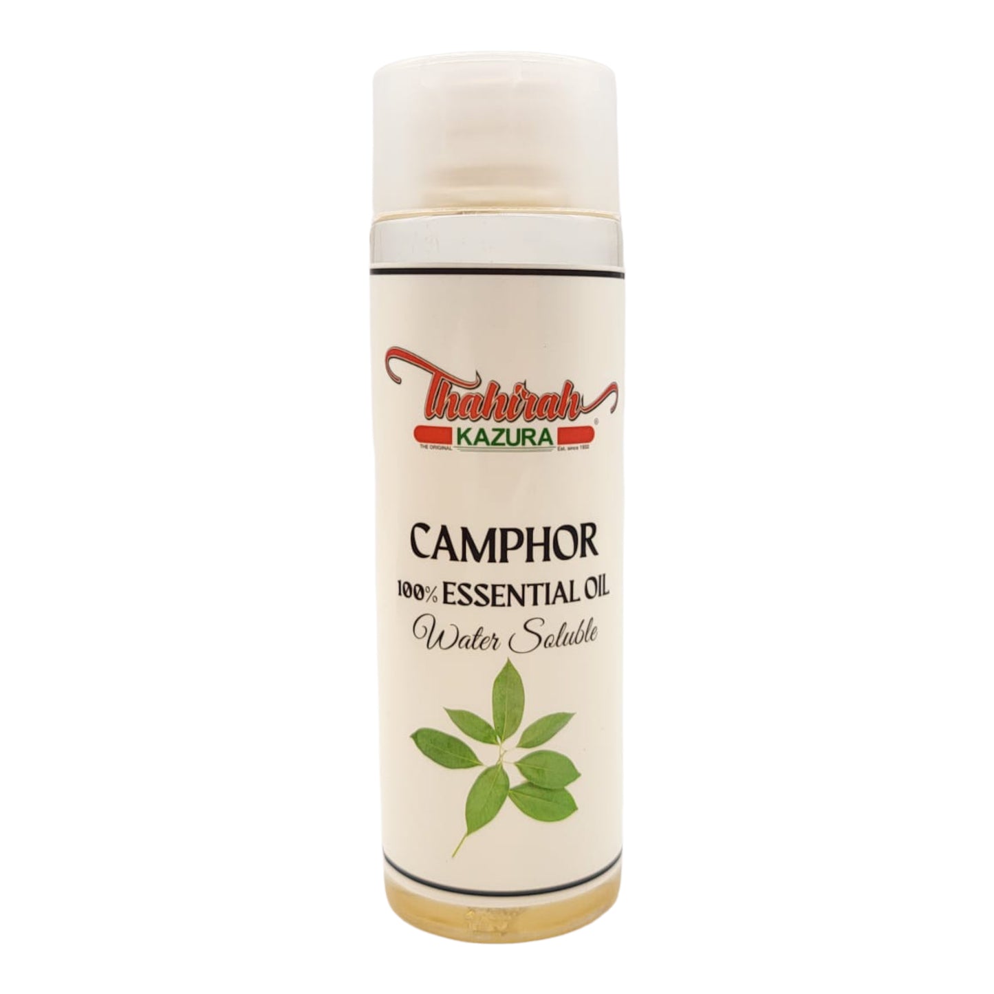 CAMPHOR WS
