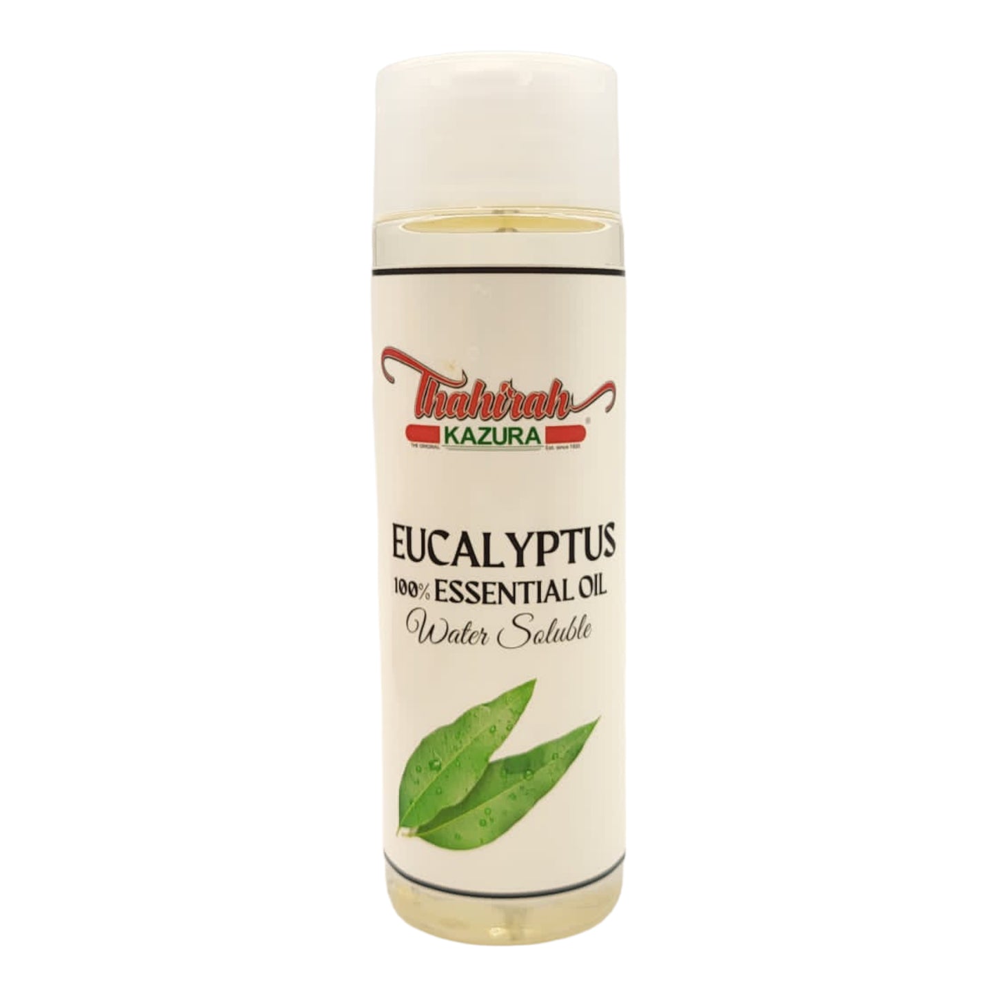 EUCALYPTUS WS
